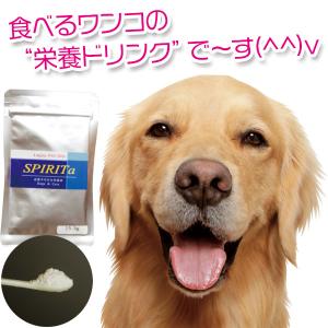 犬の栄養ドリンクの商品一覧 通販 Yahoo ショッピング