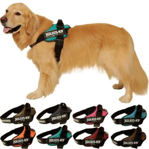 アイアンバロン　IRON BARONS ヒッププロテクター Mサイズ ピンク アイアンバロン IRON BARONS ヒッププロテクター Mサイズ ピンク