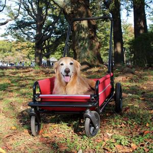 （大型犬用介護用品）エアバギー キャリッジ 本体のみ1