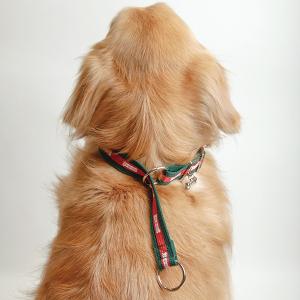 （大型犬用）リボンチョーク首輪