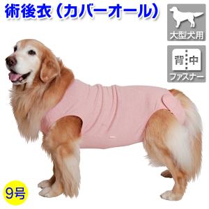 バイトノットカラー 6号サイズ（51272） : 大型犬用品専門店 アイアン