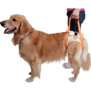 大型犬用介護用品）歩行補助ハーネス・胴体用・M（58989