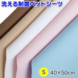 バイトノットカラー 6号サイズ（51272） : 大型犬用品専門店 アイアン