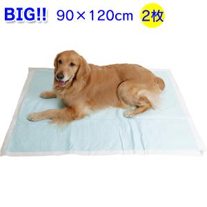 バイトノットカラー 4号サイズ（51269） : 大型犬用品専門店 アイアン