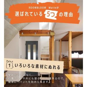 【公式ストア】ペンキ 水性 塗料 ニッペ DI...の詳細画像4