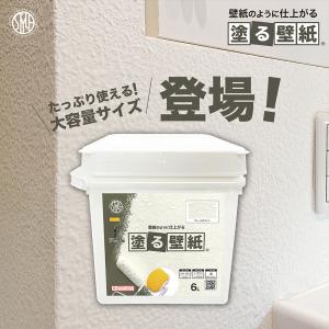 アイカ工業 ジョリパットネオJQ650NT 2缶 ジョリパットネオJQ-650T1008 20kg／缶 アイカ工業(T1008): 材料 ｜ 街