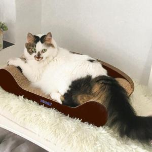ベッド 爪とぎ 猫 爪研ぎ おしゃれ 爪とぎ防...の詳細画像2