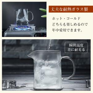 耐熱ガラス ティーポット 750ml 大きめ ...の詳細画像2