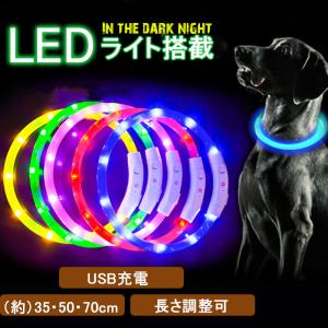 犬用首輪 光る LEDライト 夜 散歩 長さ調整可 常時点灯 点滅 USB充電 ペット 35cm50cm70cm 小型犬中型犬大型犬 安全 CE認証 送料無料｜irtrdr