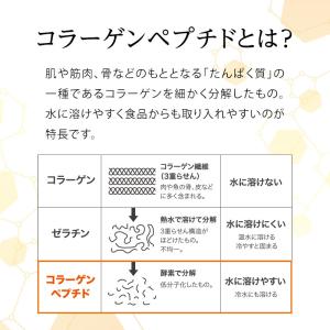 栄養ドリンク 美容 健康飲料 CP10 シーピ...の詳細画像3