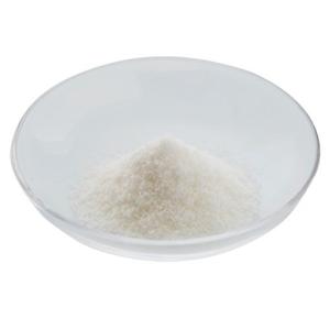 ソフティアS 500g 蓋セット品 ニュートリ...の詳細画像5