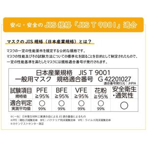マスク 不織布 小さめ 50枚入 KAEI オ...の詳細画像4