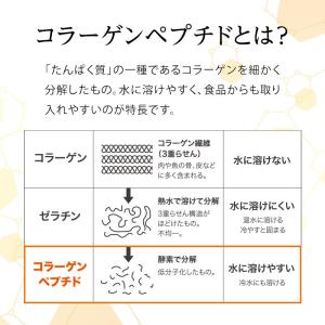 ニュートリー ブイ・クレス CP10(シーピー...の詳細画像3