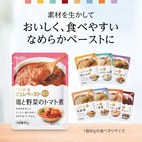 ブレンダー食 ピュレペーストミニ 8種詰め合わせ 80g×16袋 ニュートリー