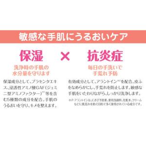 ホイップウォッシュモイスト 500mLポンプ付...の詳細画像2