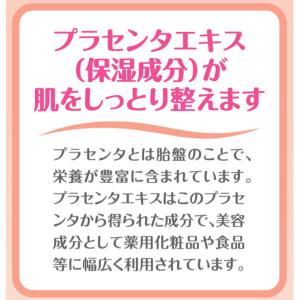 ホイップウォッシュモイスト 500mLポンプ付...の詳細画像3
