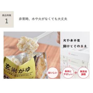 イシイの非常食 選べる非常食セット 1日分(3...の詳細画像1