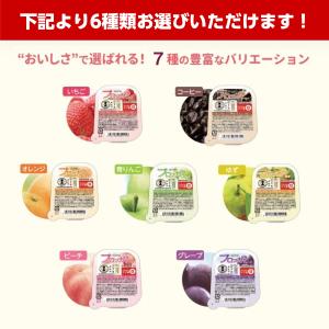 プロッカZn 選べる6種×各5個 ニュートリー...の詳細画像1