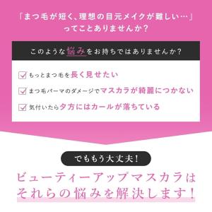 PHOEBE BEAUTY UP フィービー ...の詳細画像1