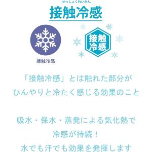 丸眞 敷きパッド ジブリ となりのトトロ 雨の...の詳細画像5