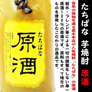 焼酎 たちばな 芋 焼酎 原酒 37度 720ml 専用化粧箱付 (たちばな げんしゅ)　百年の孤独を造る黒木本店の人気焼酎『たちばな』の原酒！｜is-mart