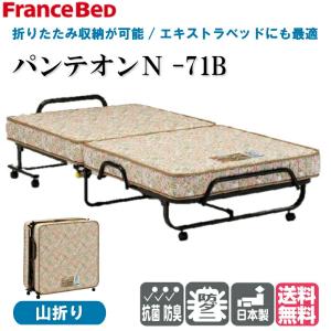 フランスベッド（FRANCEBED） シングル ベッド フレームのみ BG-001