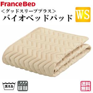 フランスベッド（FRANCEBED） お得な2枚セット オールシーズン対応