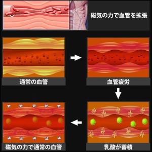 ダイエットリング 指輪 器具 磁気の力で血行 ...の詳細画像3