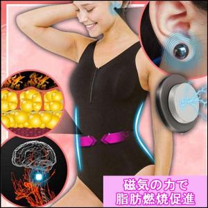 繰返し使えるダイエットイヤリング 磁気の力で血...の詳細画像1