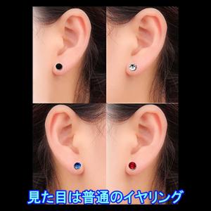 繰返し使える脂肪燃焼イヤリング ダイエット 磁...の詳細画像2