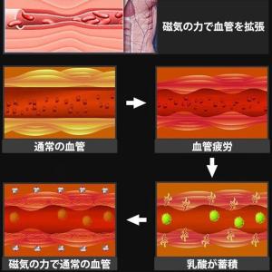 繰返し使える脂肪燃焼イヤリング ダイエット 磁...の詳細画像3