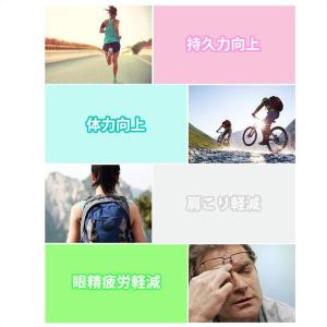 繰返し使える脂肪燃焼イヤリング ダイエット 磁...の詳細画像5