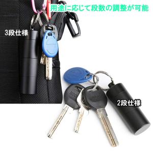 携帯用 小型 ピルケース キーホルダー サプリ...の詳細画像5