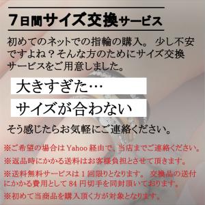 左右2個セット 磁気の力で脂肪燃焼!ダイエット...の詳細画像4