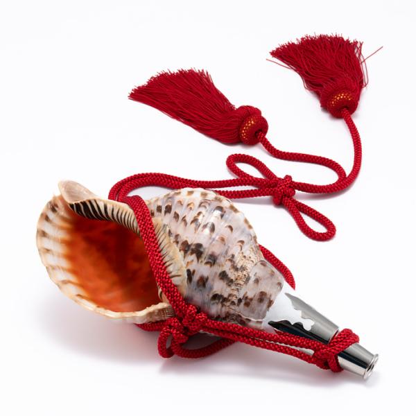 法螺貝 （ほら貝） 13インチ No.118