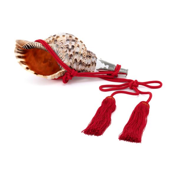 法螺貝 ほら貝 14インチ No.75