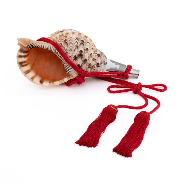 法螺貝 ほら貝 14インチ No.76