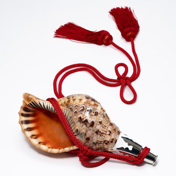 法螺貝 （ほら貝） 14インチ No.82