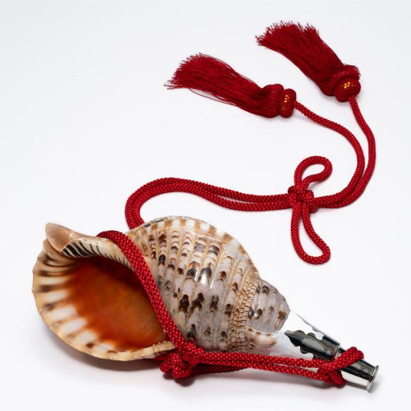 法螺貝 （ほら貝） 14インチ No.83