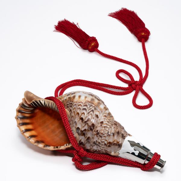 法螺貝 （ほら貝） 14インチ No.86