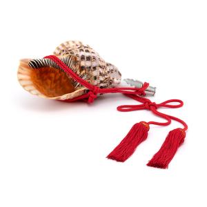 法螺貝 （ほら貝） 大型 No.11 : 宮忠 - 通販 - Yahoo!ショッピング