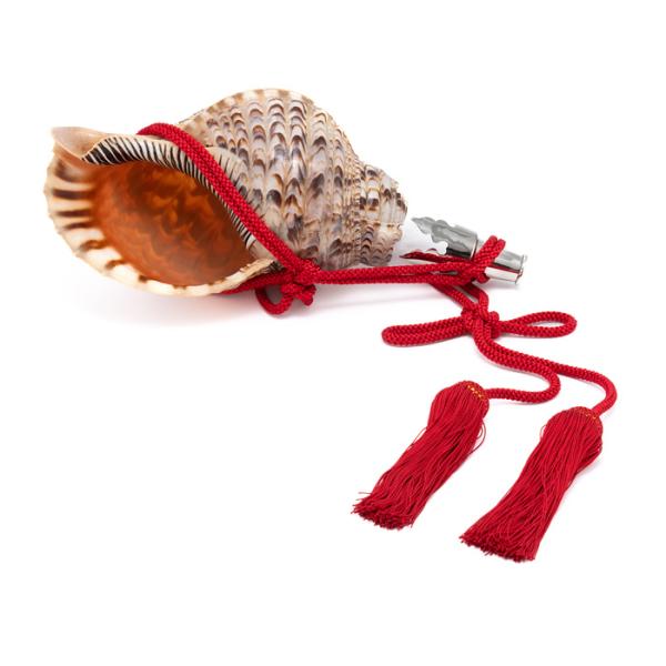 法螺貝 ほら貝 15インチ No.48