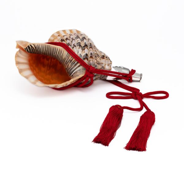 法螺貝 （ほら貝） 大型 No.15