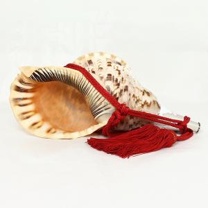 ほら貝の商品一覧 通販 Yahoo ショッピング