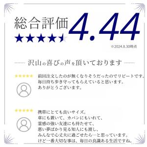 持ち塩 10個 セット お清め お祓い(ネコポ...の詳細画像1