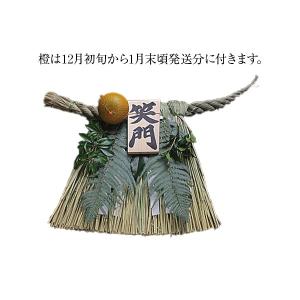 しめ縄（玄関用） 特大 青物付 （笑門）