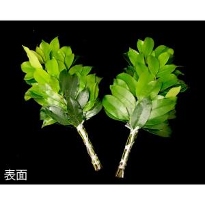 本榊(生榊) 1対(2結束)の詳細画像3