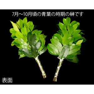 本榊(生榊) 1対(2結束)の詳細画像4
