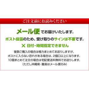 伊勢 丸中製茶 和紅茶 ティーバッグ 無糖 無...の詳細画像3