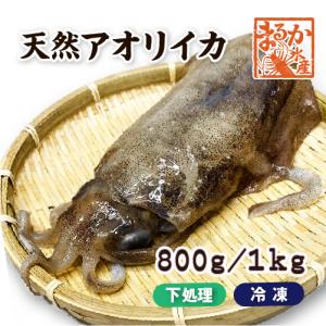 天然アオリイカ　国産　Lサイズ 800g/1kg 冷凍[魚介類]｜isemaruka